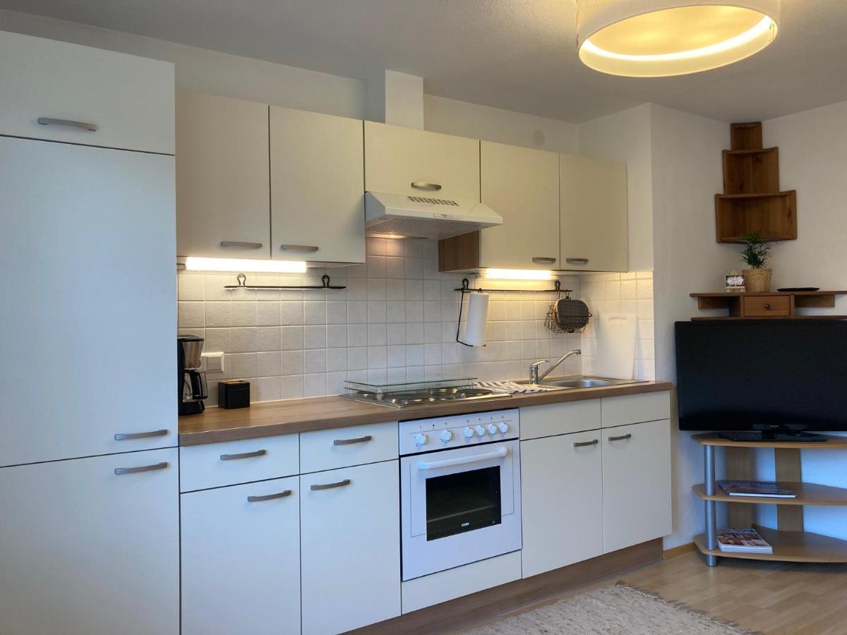 Appartementhaus Finis 람자우 암 다흐스타인 외부 사진